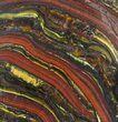 Polished Tiger Iron Stromatolite - ( Billion Years) #62771-1